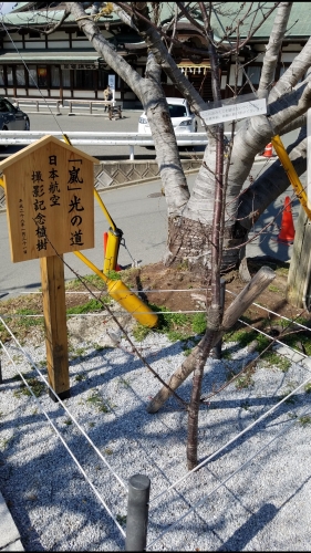 宮地嶽神社 飯塚店のブログ 店舗ブログ 認定補聴器専門店 リオネットセンターの補聴器情報発信サイトｋｉｋｏｅｒｕ きこえる