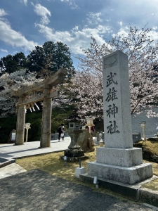 325b839f-4aeb-4ad0-bd36-e29c1a7a85f2.jfif