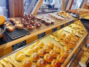 4a8e4dec-0bb1-4c19-aa86-895baeff2c71.jfif