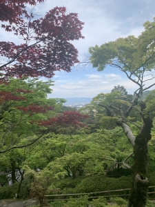 IMG_4437.jpeg