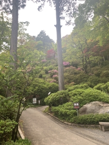 IMG_4442.jpeg