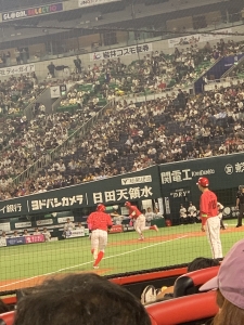 IMG_4480.jpeg