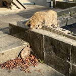 IMG_6904.jpeg