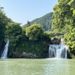 IMG_7130.jpeg