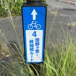 IMG_7237.jpeg