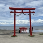 IMG_7291.jpeg