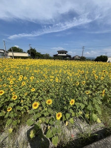 IMG_7318.jpeg