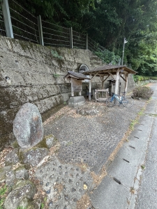 IMG_7329.jpeg