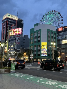 IMG_7435.jpeg