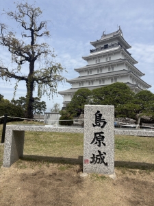 d2be935f-f2de-4972-ad2f-ae6d4ca14c45.jfif