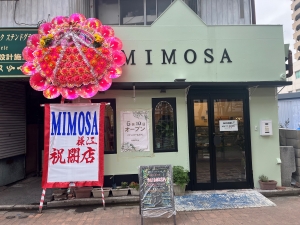 mimosa1s.jpg