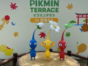 pikuminn3.jpg