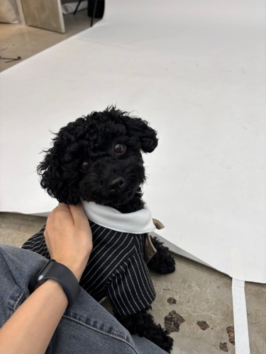 thumbnail_image1.jpg