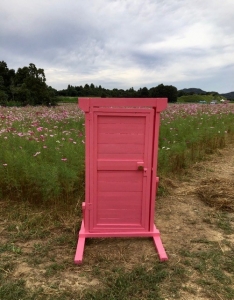 ピンクの扉.jpg